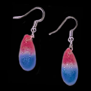 Teardrop Earrings-GltrUSA